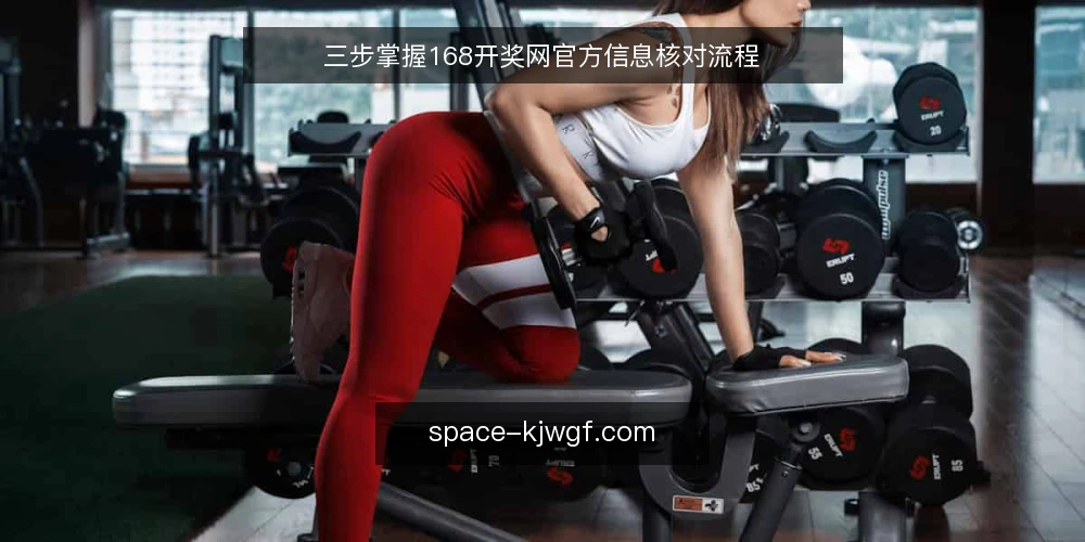 三步掌握168开奖网官方信息核对流程 — 核对前准备：明确信息需求与可信源 配图