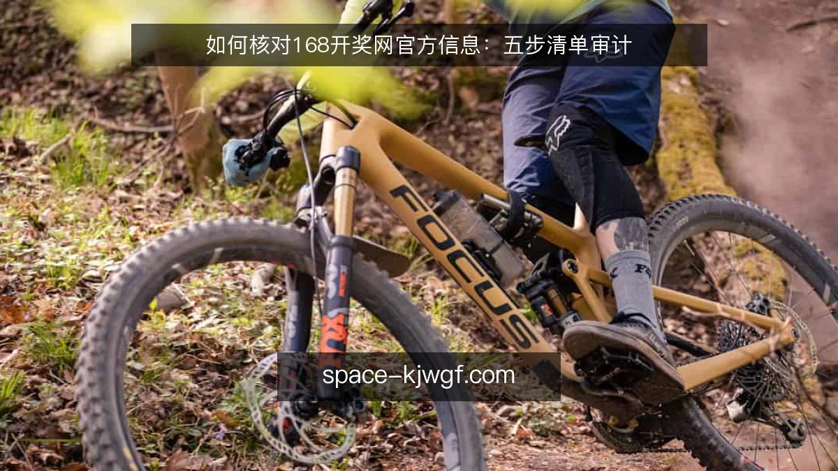 如何核对168开奖网官方信息：五步清单审计